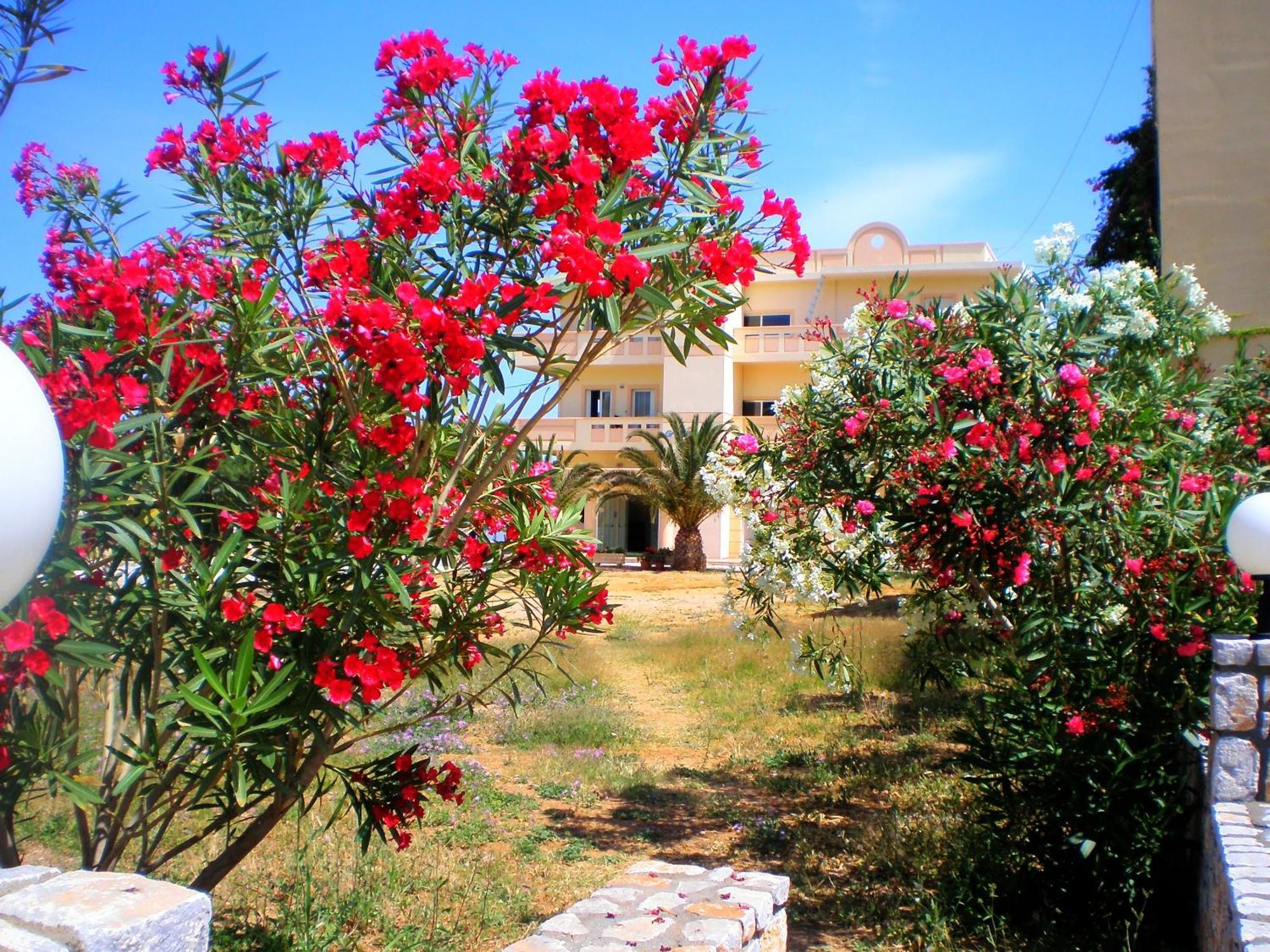 Galini Beach Hotel Kissamos Ngoại thất bức ảnh