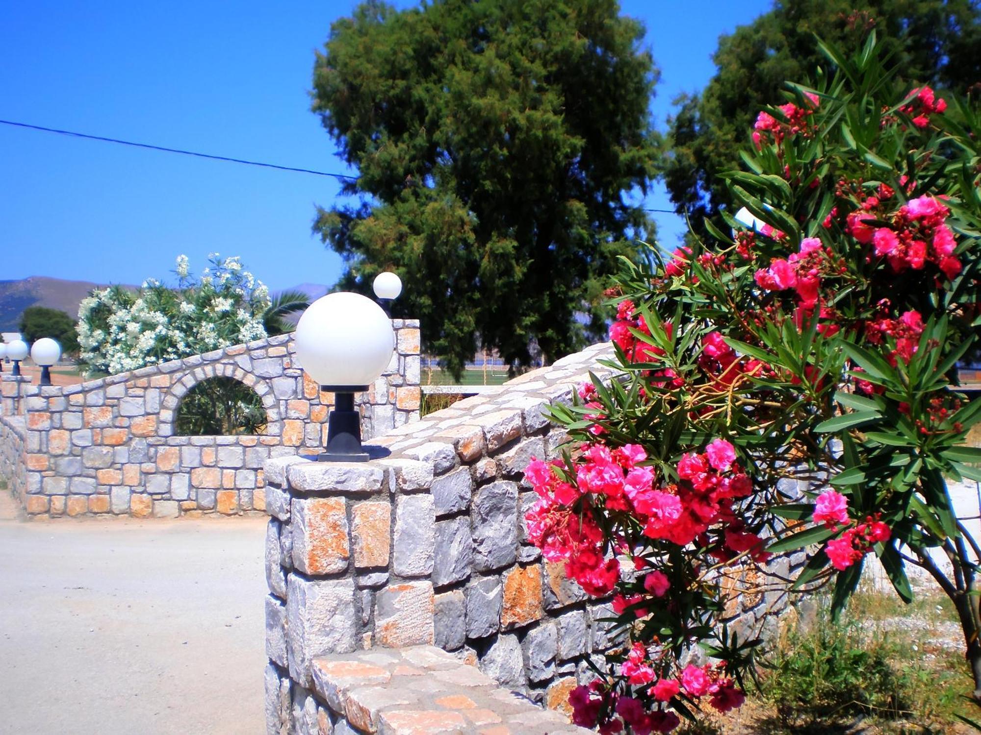 Galini Beach Hotel Kissamos Ngoại thất bức ảnh